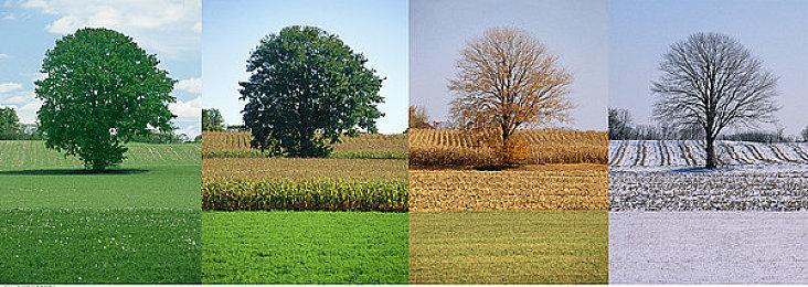 《胜利女神》国服和《剑星》联动演示 渡鸦太美了